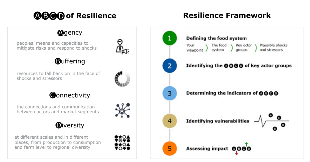 Abcd of resilience