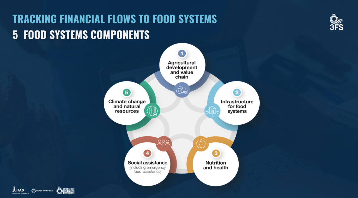 Components 3 FS IFAD