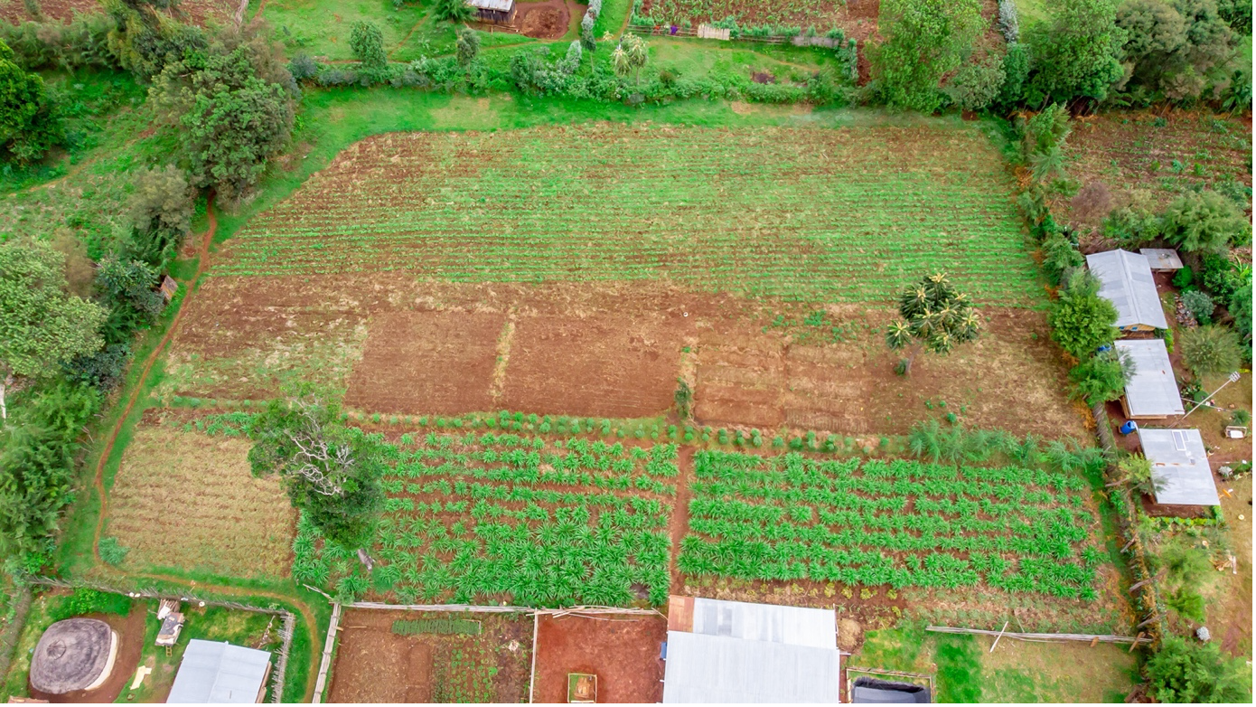 Farm Aerial view